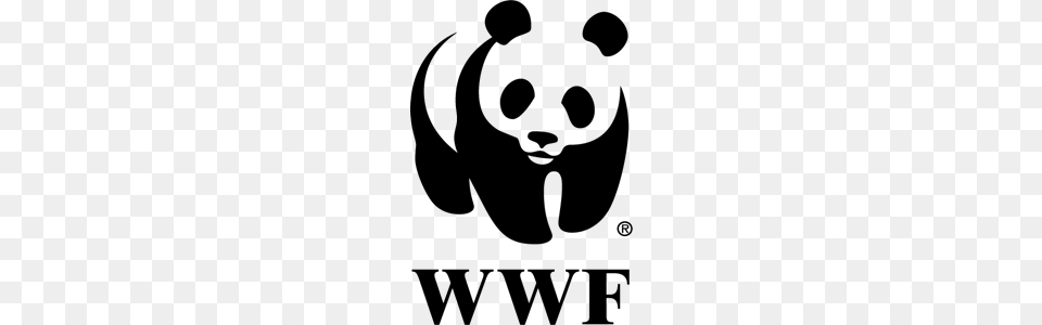 Wwf Logo Bluemed Initiative, Gray Free Png Download