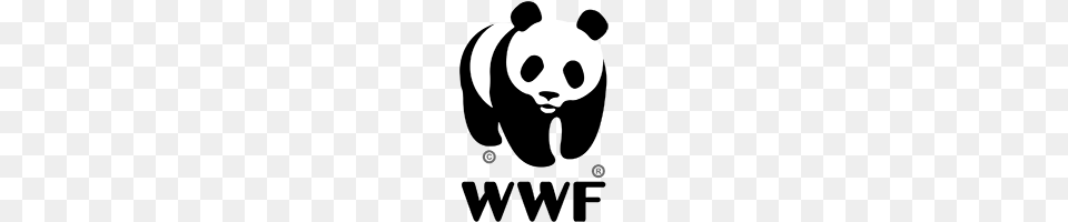 Wwf Plush Toys And Stuffed Animals, Stencil, Baby, Person Free Png