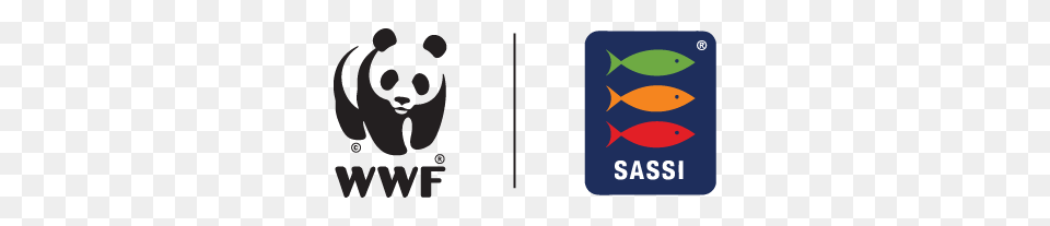 Wwf Sassi, Baby, Person, Face, Head Free Transparent Png