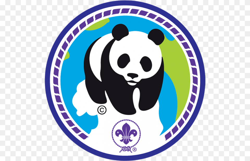 Wwf Sos Mata Atlantica Logo, Animal, Bear, Giant Panda, Mammal Png