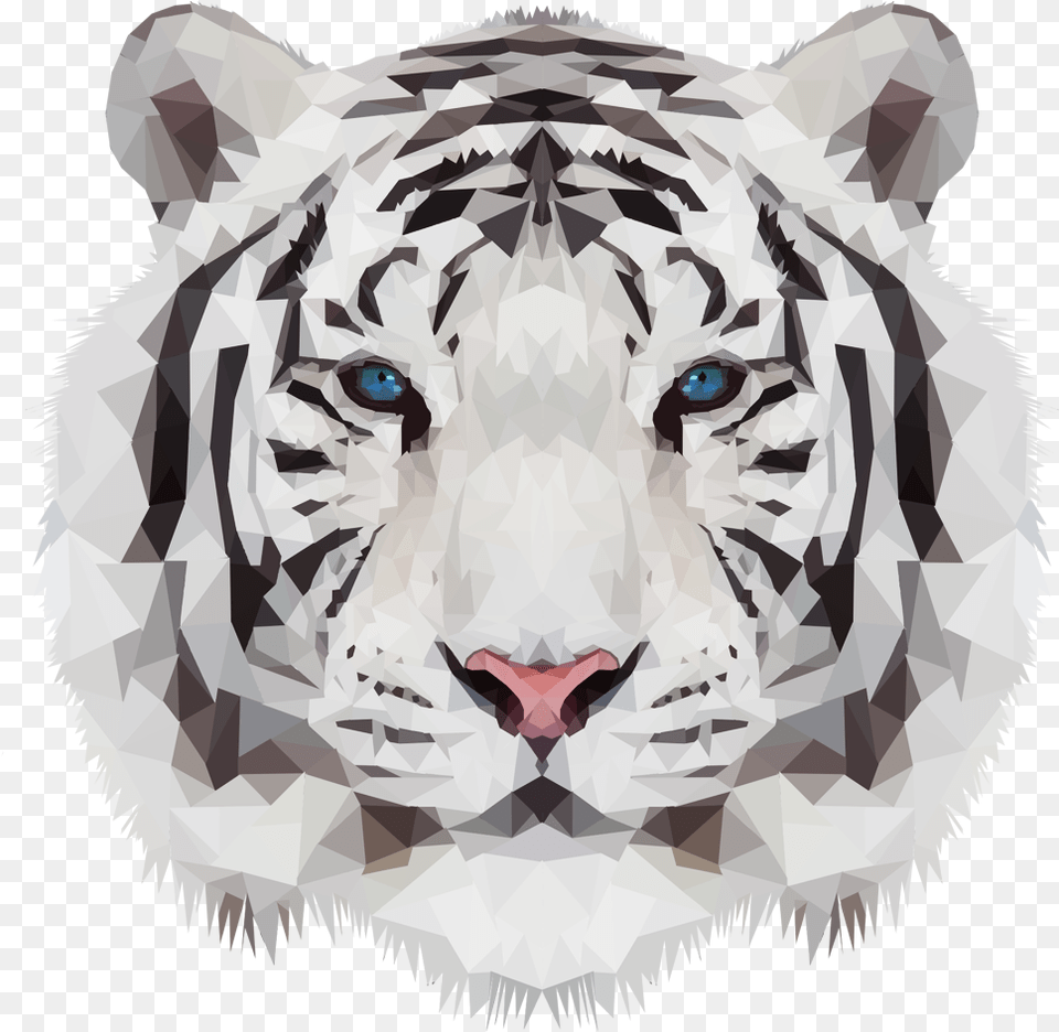 Wwf White Tiger, Baby, Person, Animal, Mammal Png
