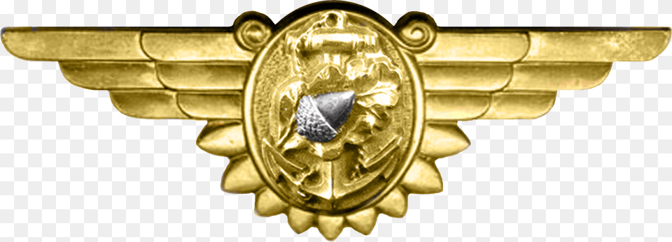 Wwii Naval Flight Nurse Insignia Ww2 Badge, Gold, Logo, Symbol, Gun Free Png Download