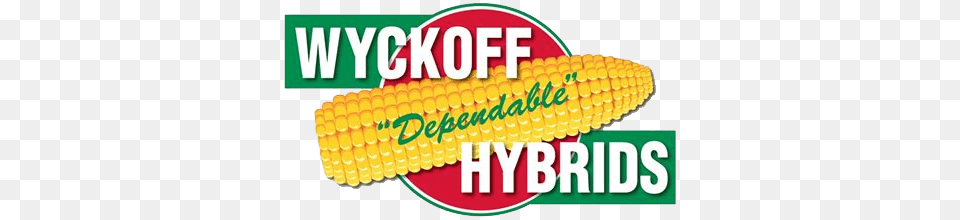 Wyckoff Hybrids, Corn, Food, Grain, Plant Free Transparent Png