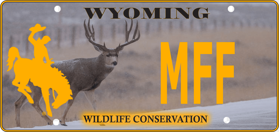 Wyoming Conservation License Plate, Electronics, Mobile Phone, Phone, Qr Code Free Png Download