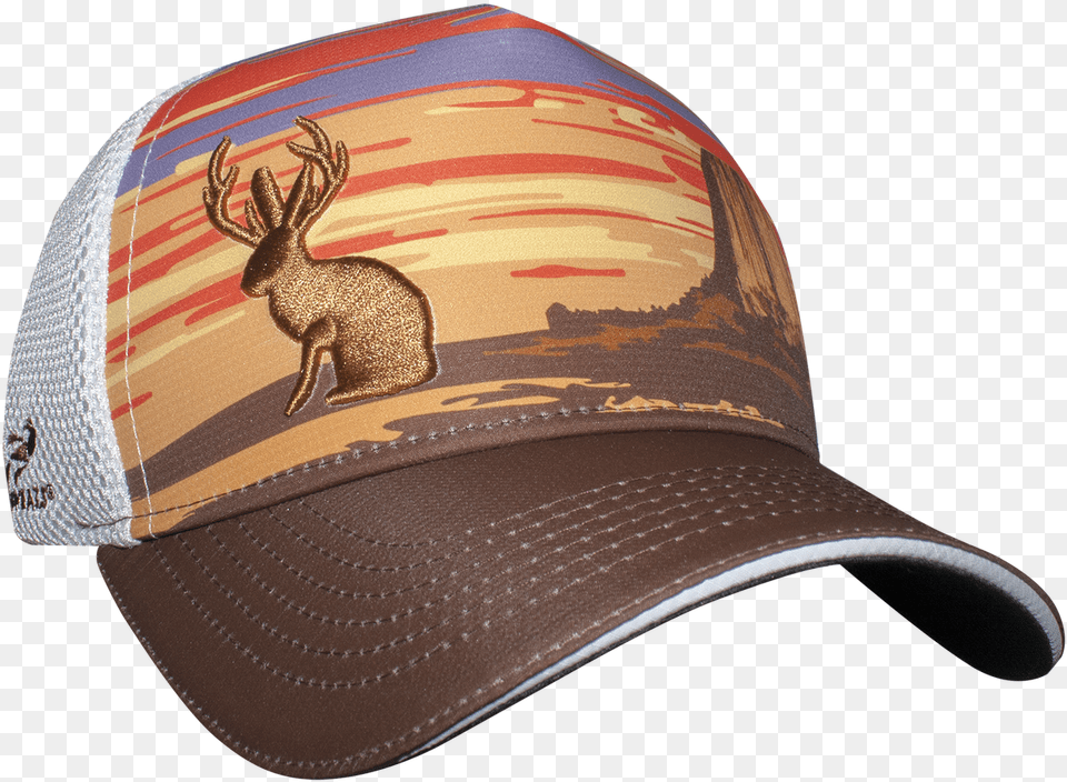 Wyoming Hats, Baseball Cap, Cap, Clothing, Hat Free Transparent Png