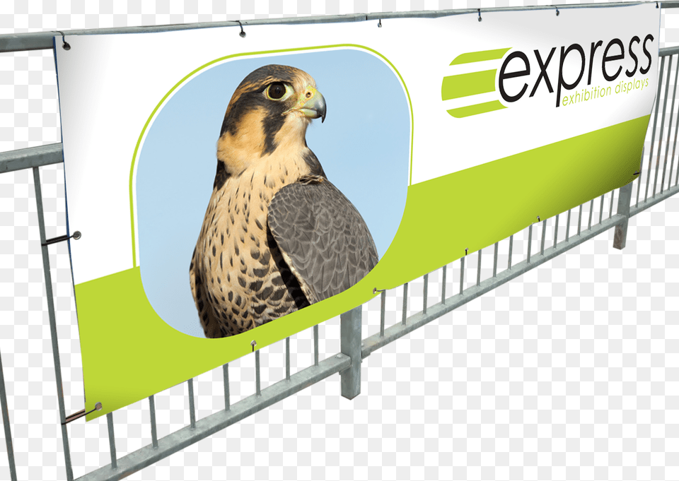 X 1 Banner, Fence, Animal, Bird, Buzzard Png