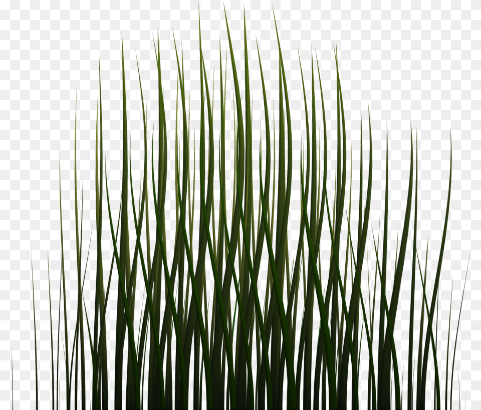 X 1024 Game Grass Texture, Plant, Green, Vegetation, Reed Free Png Download