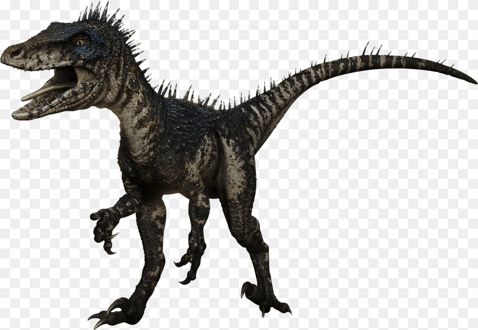 X 1107 3 Jurassic World 2 Deinonychus, Animal, Dinosaur, Reptile, T-rex Free Png
