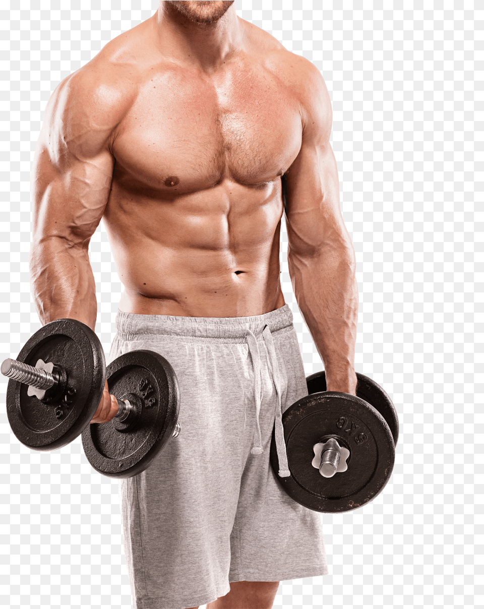 X 1433 Gym Workout, Adult, Person, Man, Male Free Transparent Png