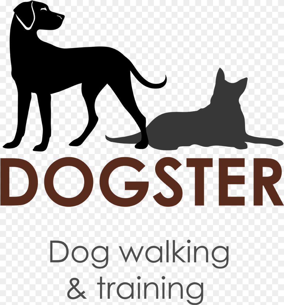 X 1500 3 Dog Training, Person, Animal, Cat, Mammal Png