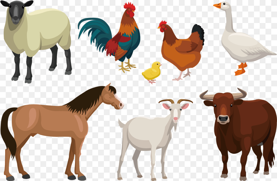 X 1500 Farm Animals Vector, Animal, Fowl, Chicken, Bird Png
