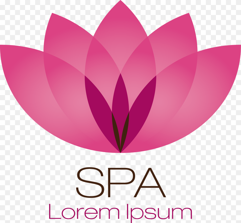 X 1592 6 Massage Hand Lotus Logo, Plant, Flower, Petal, Dahlia Free Png Download