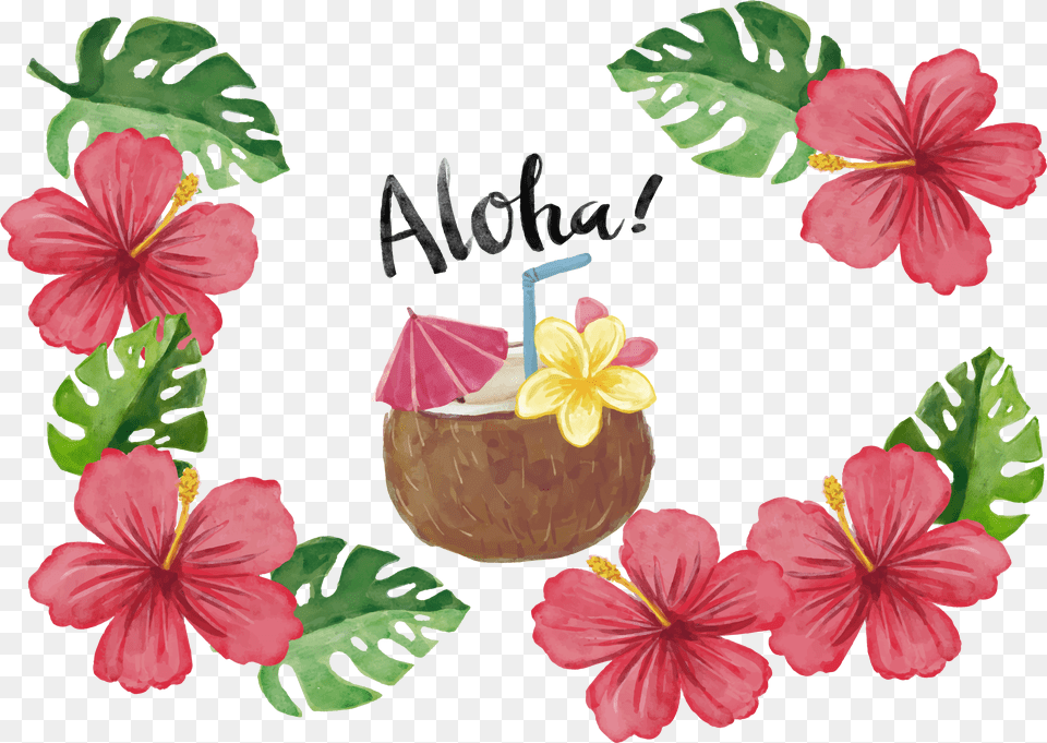 X 2376 6 0 Tropical Flower, Petal, Plant, Hibiscus Free Png