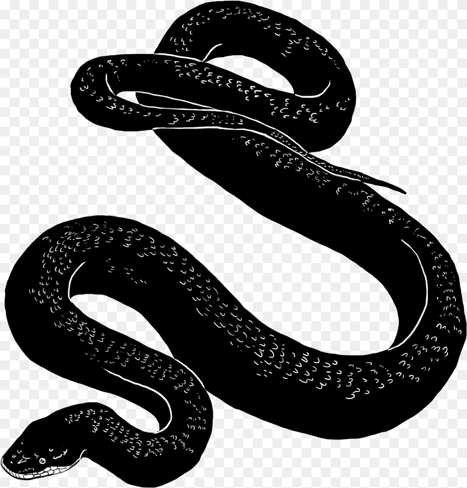 X 2500 14 Black Snake, Clothing, Hat Png