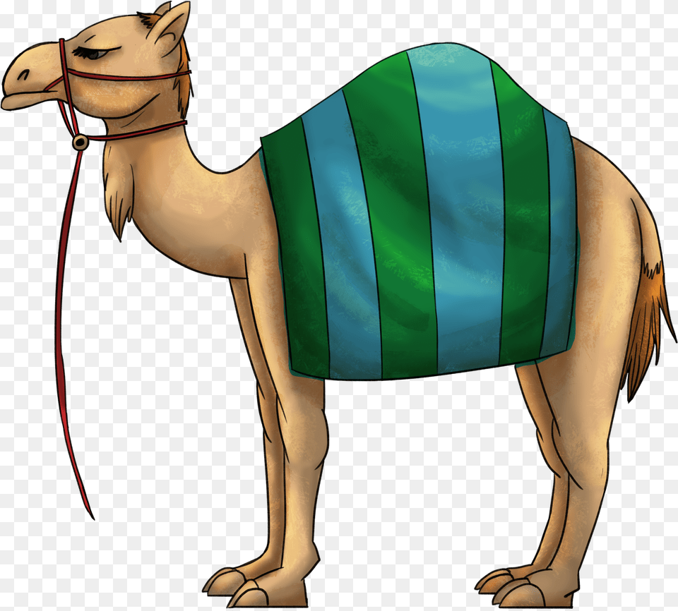 X 3000 2 Arabian Camel, Adult, Person, Mammal, Woman Free Png Download