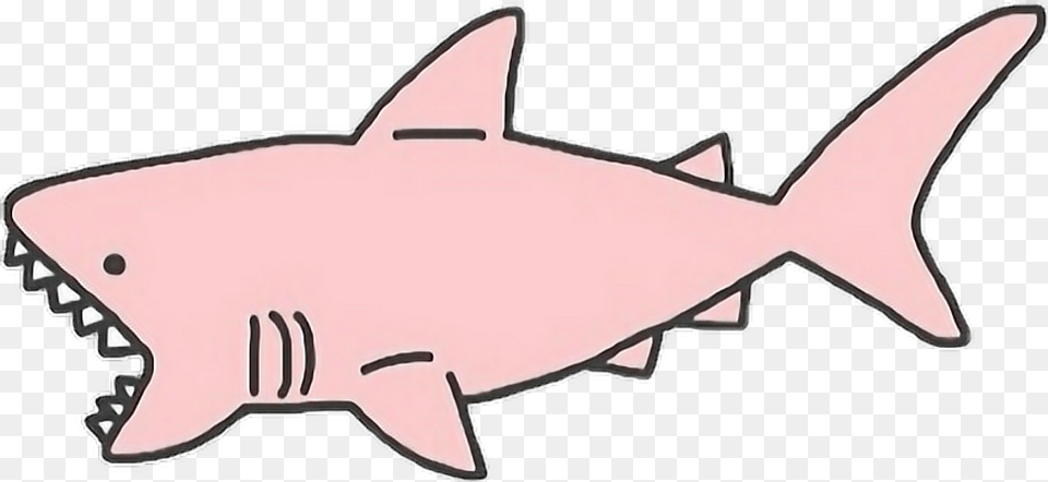 X 471 1 0 Pink Shark Transparent, Animal, Fish, Sea Life, Great White Shark Free Png
