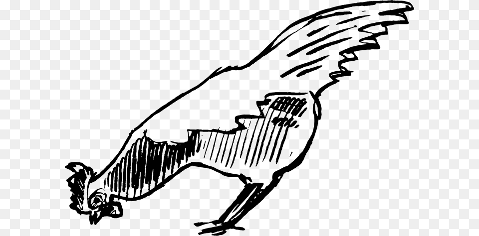 X 474 1 Illustration, Animal, Bird, Vulture, Dinosaur Free Png