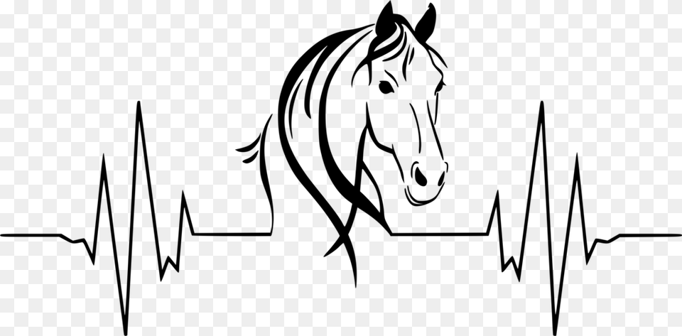 X 504 12 Heartbeat With Horse Head, Gray Free Transparent Png