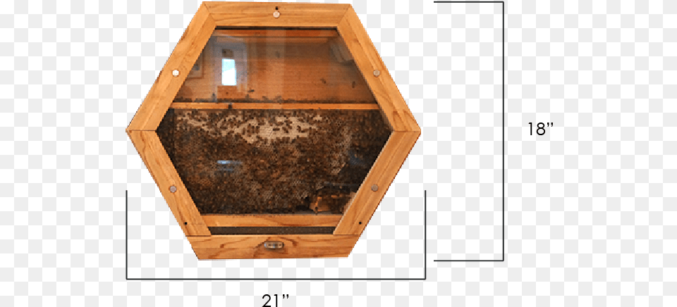 X 513 3 Octagon Beehive Png