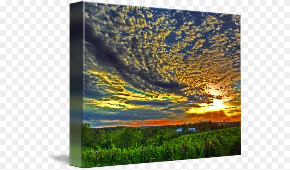 X 563 6 Sunset Vineyard, Cloud, Sunlight, Sky, Scenery Free Png Download