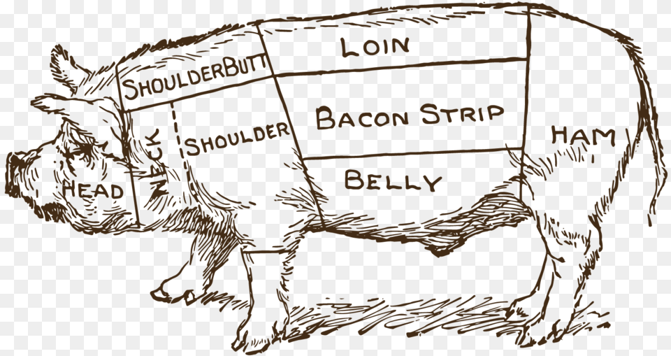 X 567 9 Butcher39s Diagram Pig, Animal, Hog, Mammal, Boar Png