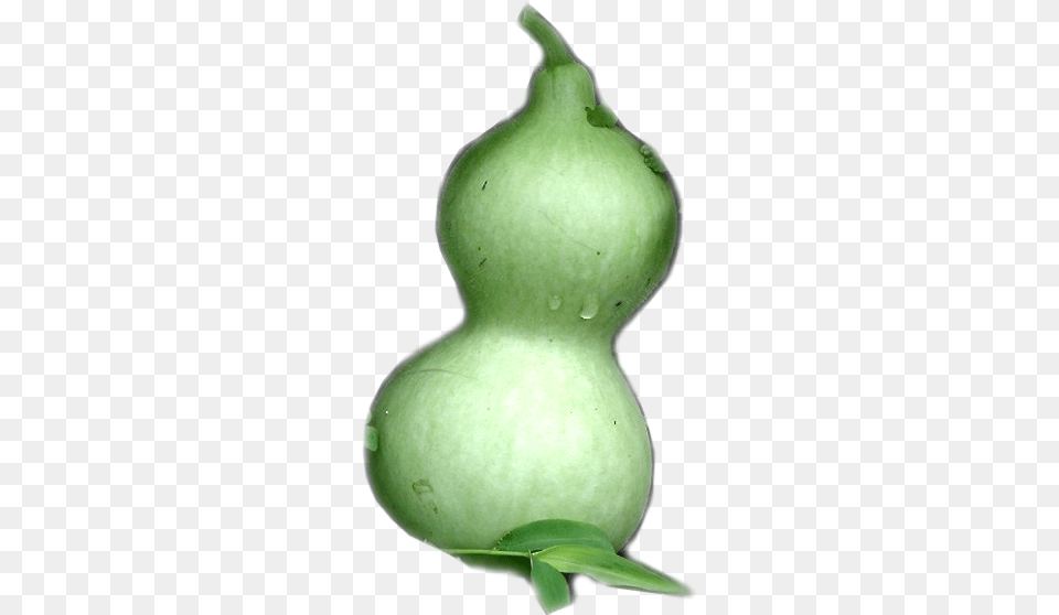 X 600 1 Gourd, Food, Plant, Produce, Vegetable Free Png
