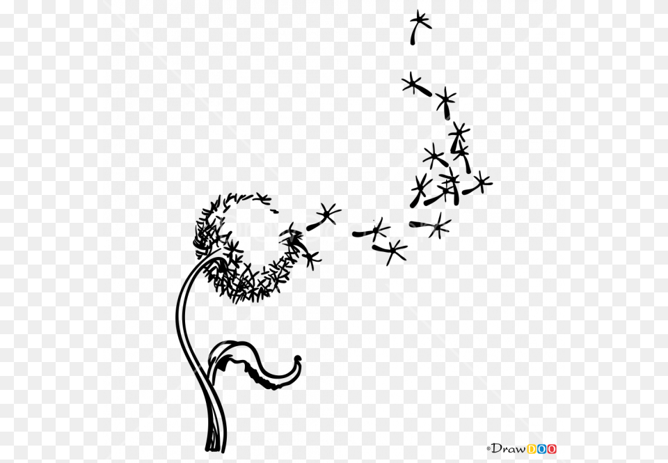 X 665 Dandelion Flowers Draw, Lighting, Nature, Night, Outdoors Free Transparent Png