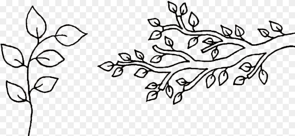 X 686 11 Branches With Leaves Drawing, Art, Pattern, Floral Design, Graphics Png Image