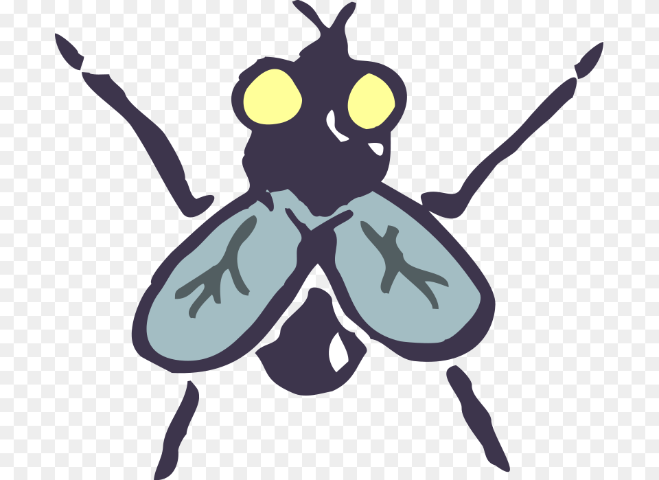 X 699 4 Insect Vector, Animal, Bee, Invertebrate, Wasp Png