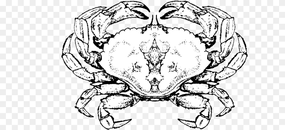 X 714 7 Cancer Crab, Seafood, Food, Invertebrate, Animal Free Png