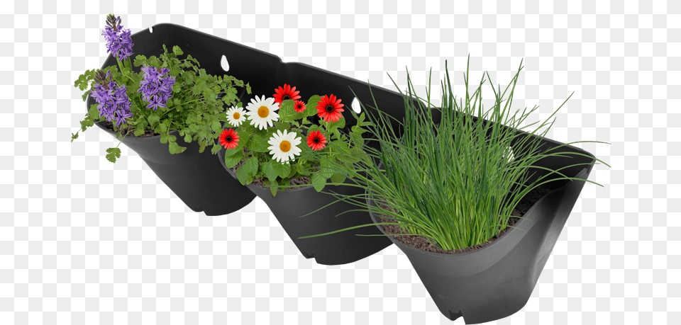X 800 3 Vertical Garden Bunnings, Vase, Pottery, Potted Plant, Planter Free Png Download