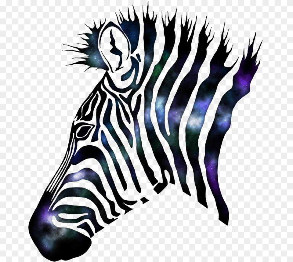 X 894 Galaxy Zebra, Animal, Mammal, Wildlife, Festival Png Image