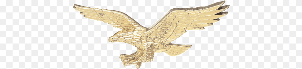 X 8quot American Flag Golden Eagle, Animal, Bird, Hawk, Buzzard Free Transparent Png