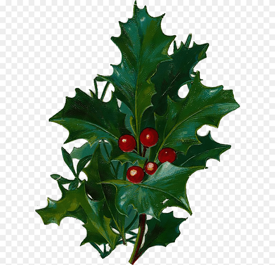 X 960 2 Victorian Clip Art Christmas, Leaf, Plant, Tree, Food Png