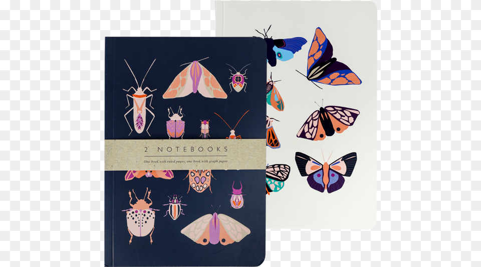 X A5 Portico Exercise Books Entomology Set Of 2, Animal, Insect, Invertebrate, Butterfly Free Transparent Png