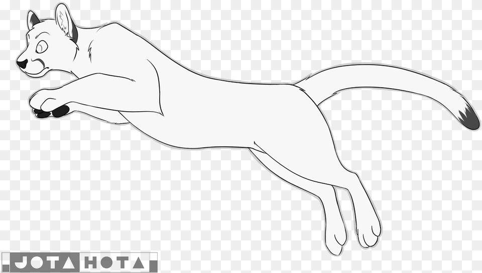 X Marks The Spot Lineart Cougar Lineart, Animal, Cat, Mammal, Pet Png