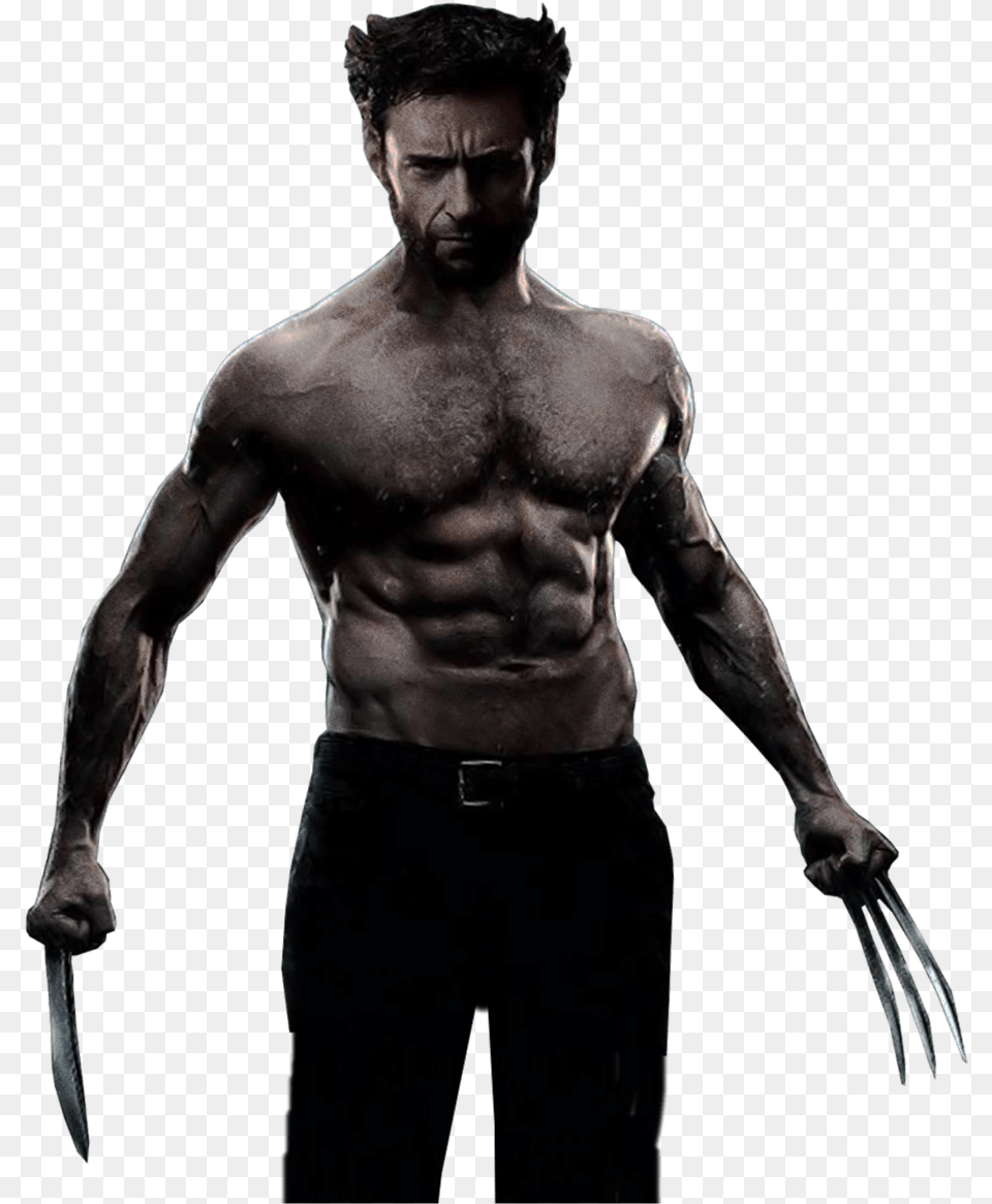 X Men Logan, Adult, Person, Man, Male Free Png