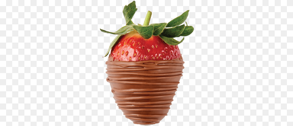 X Milk Chocolate Dipped Strawberry 4 Hour Delivery Chocolate, Berry, Food, Fruit, Plant Png