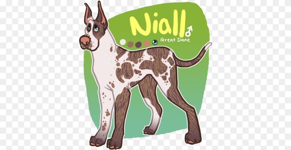 X Niall The Great Dane, Animal, Canine, Mammal, Pet Png