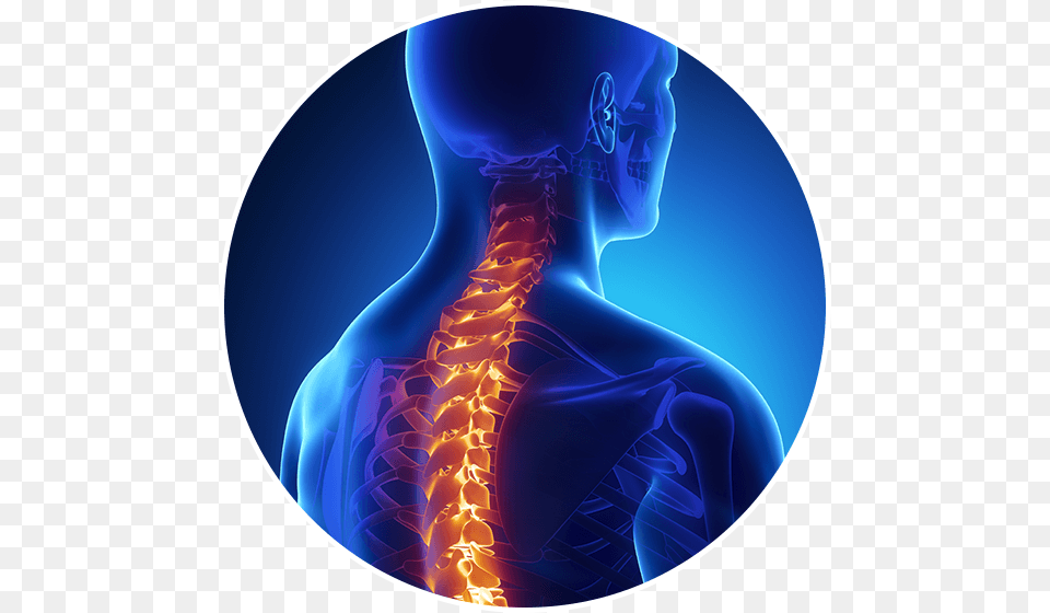 X Ray Backbone, Ct Scan, Adult, Male, Man Free Png