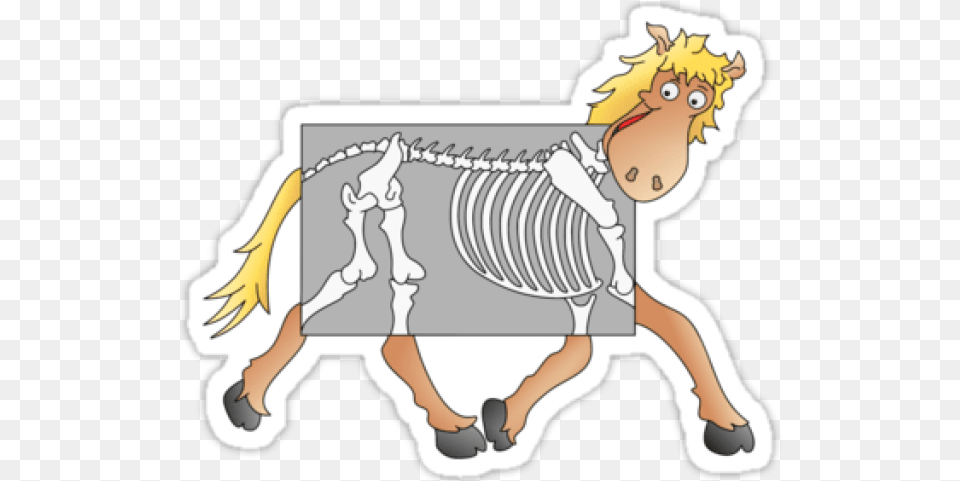 X Ray Clipart Animal Xray X Ray, Book, Comics, Publication, Baby Free Transparent Png