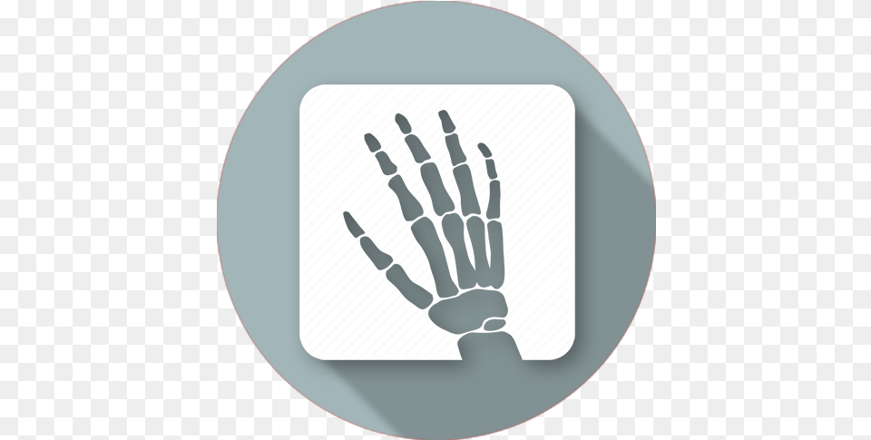 X Ray Icon Basilica Ray Icon, Body Part, Hand, Person, Electronics Free Transparent Png