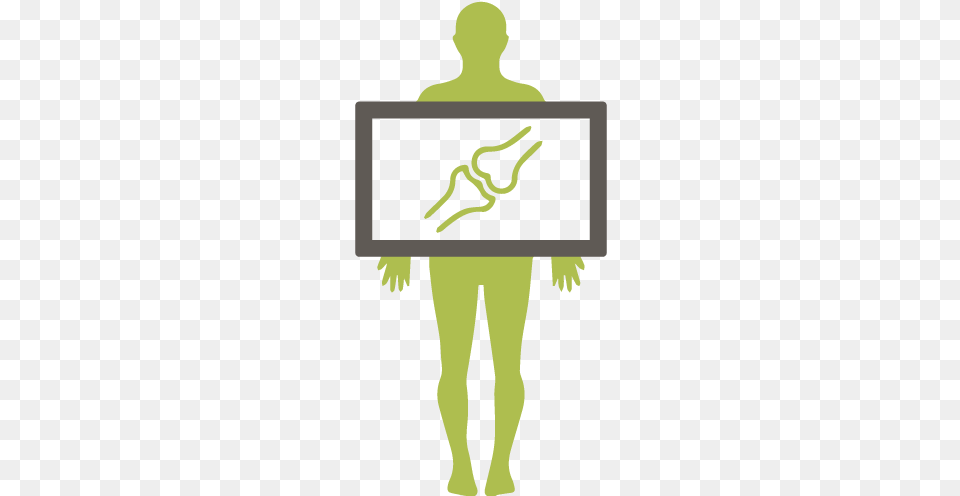 X Ray Illustration, Adult, Female, Person, Woman Free Png