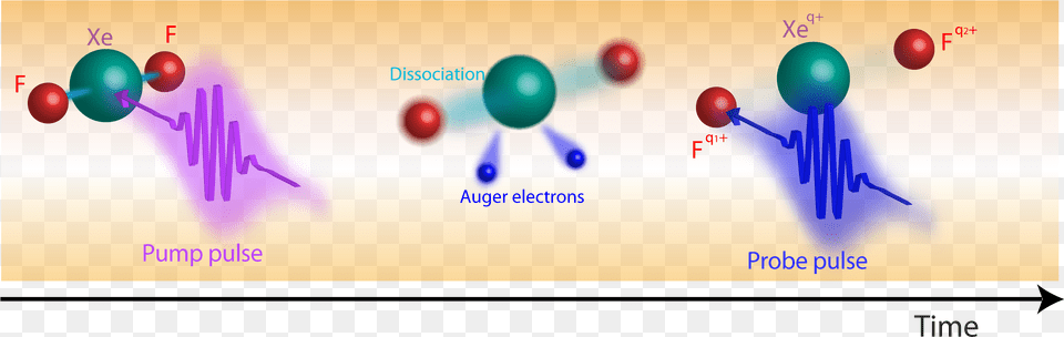 X Ray Molecule, Sphere, Balloon Free Png