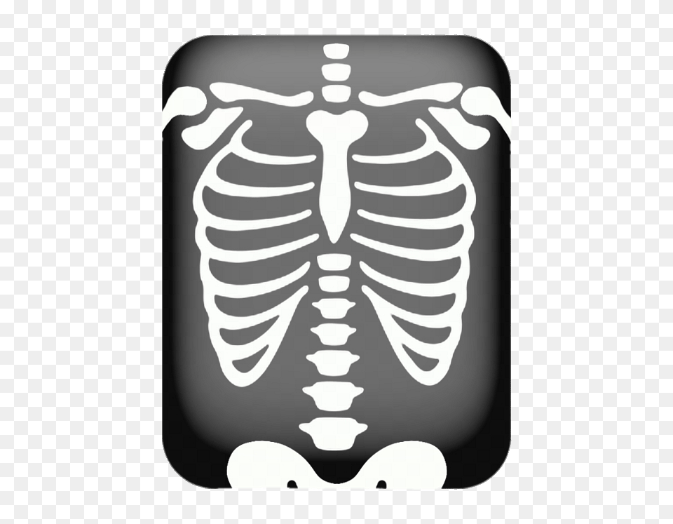 X Ray Of Chest Clipart Free Png Download