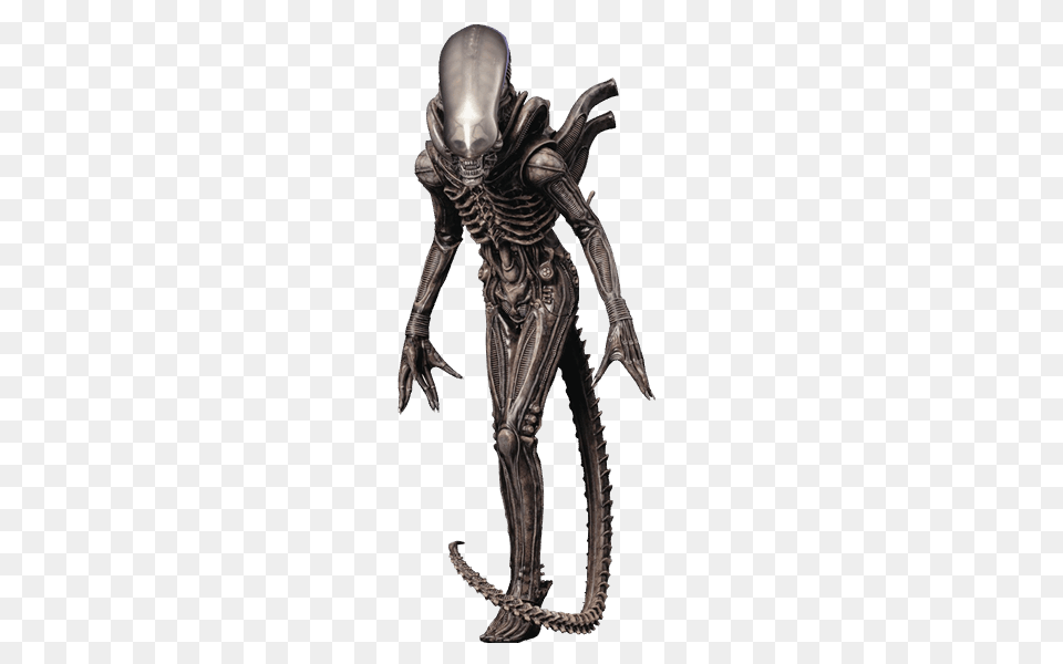 Xenomorph, Alien, Person Free Png