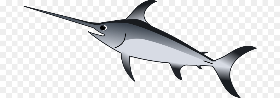 Xiphias, Animal, Fish, Sea Life, Swordfish Png Image