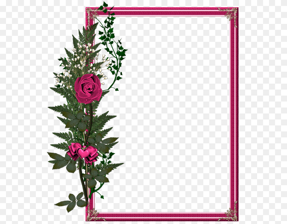Xl Birthday Album, Flower, Flower Arrangement, Flower Bouquet, Plant Free Transparent Png