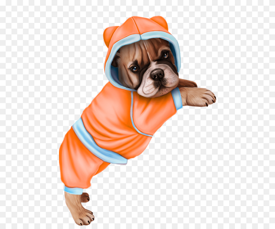 Xl Dog Tubes, Coat, Clothing, Baby, Person Png