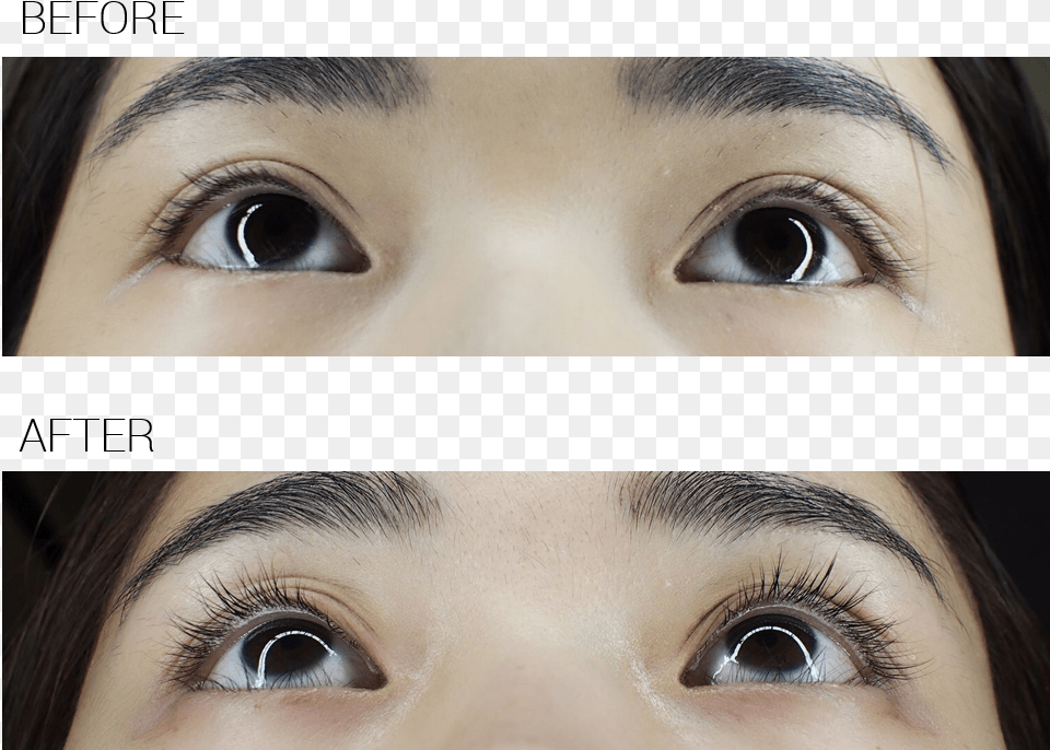 Xlash Eyelash Serum Review, Head, Person, Face, Photography Free Png